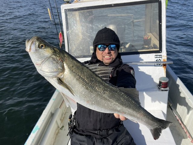 シーバス(スズキ)