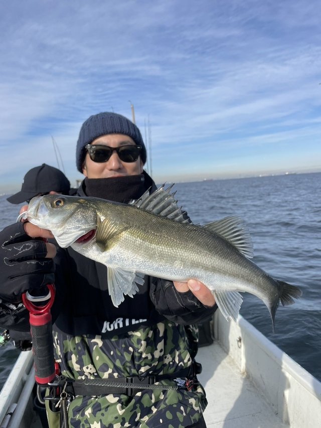 シーバス(スズキ)