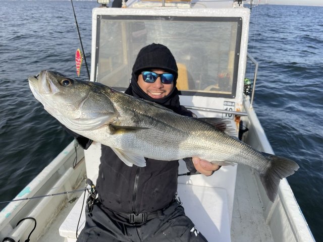 シーバス(スズキ)