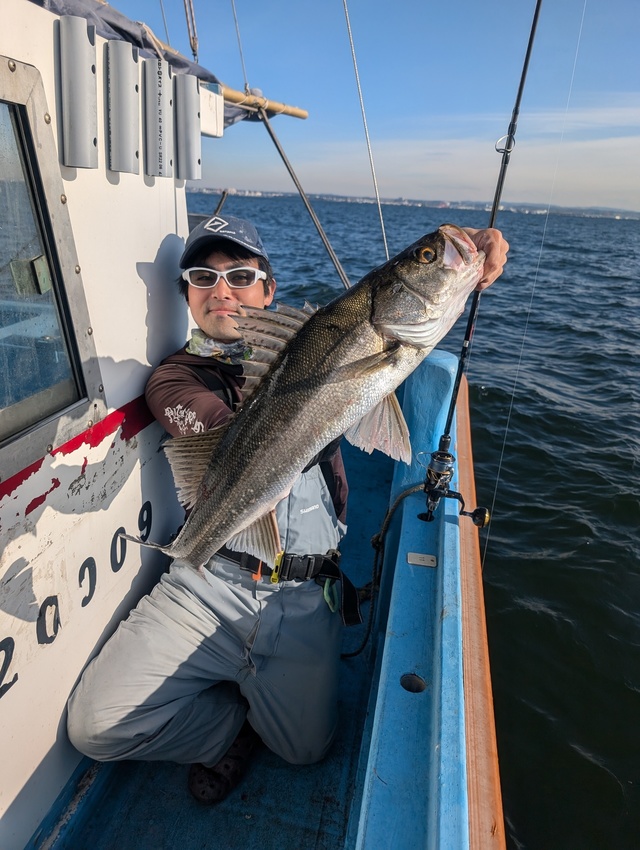 シーバス(スズキ)