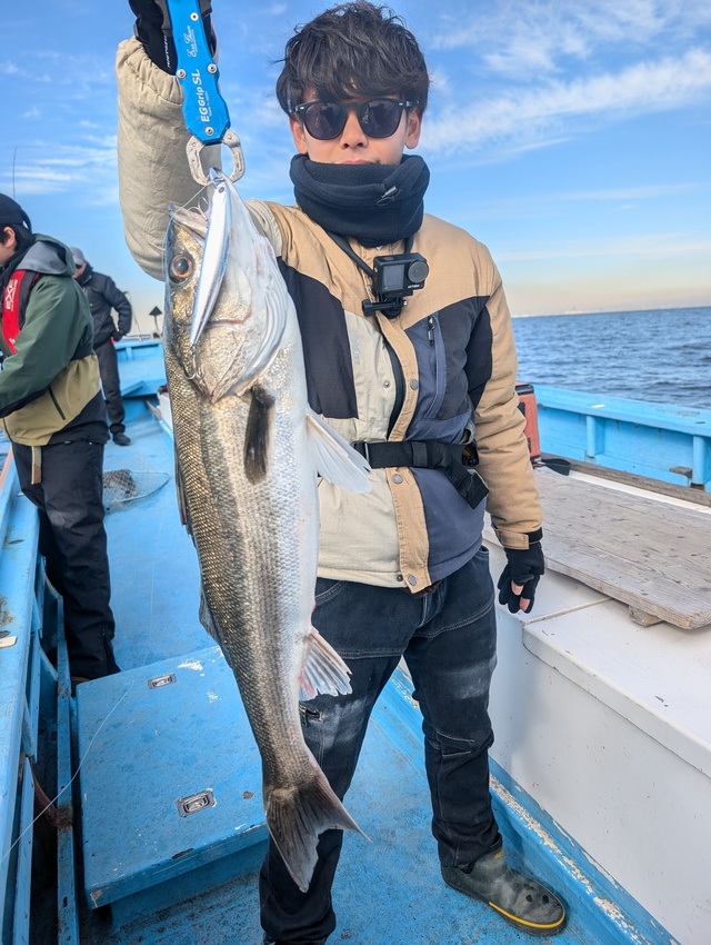 シーバス(スズキ)