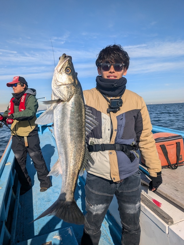 シーバス(スズキ)