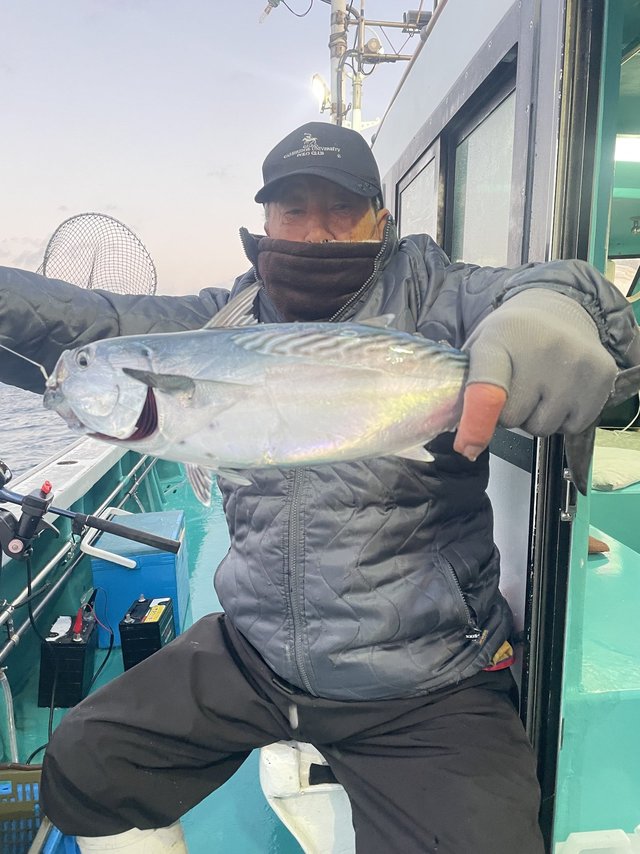 ヤイトガツオ(スマ)