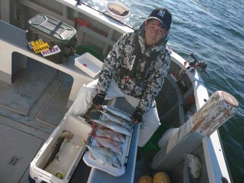 マダイ・アジ(マアジ)・カイワリ