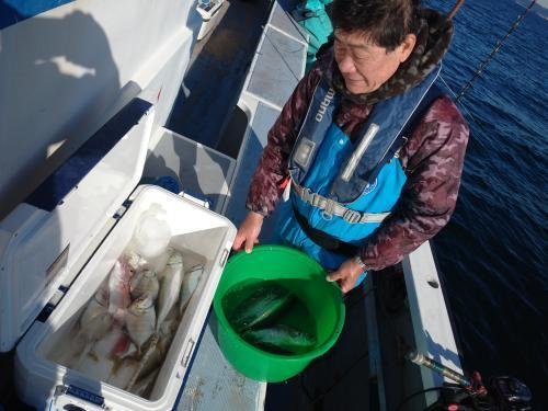 マダイ・アジ(マアジ)・カイワリ