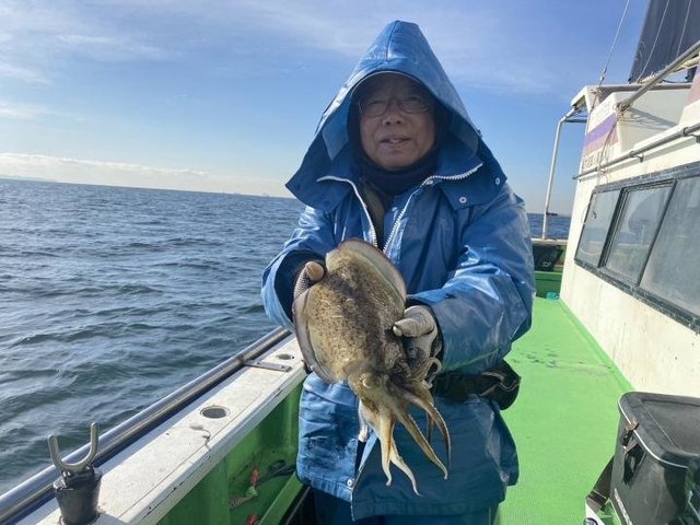 モンゴウ(カミナリイカ)