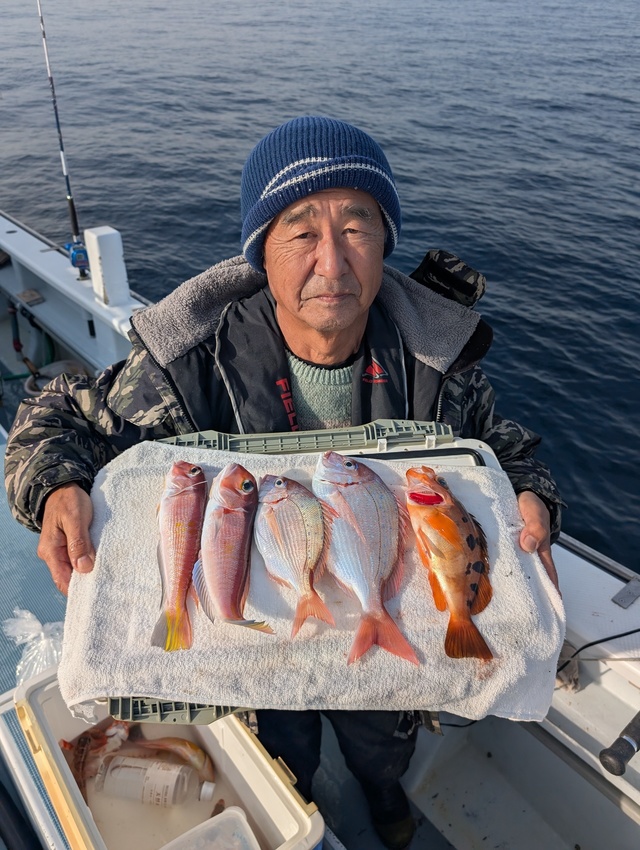 ハナダイ(チダイ)・アマダイ(アカアマダイ)