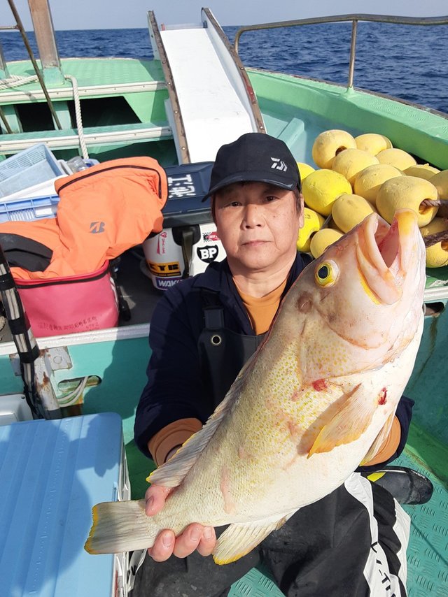 アオナ(アオハタ)