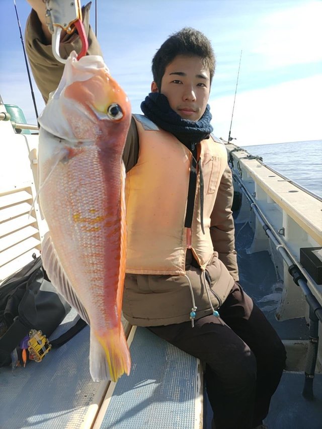 アマダイ(アカアマダイ)