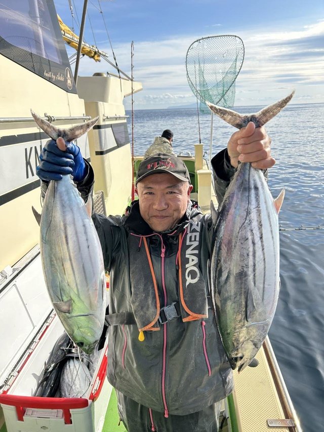 ホンガツオ(カツオ)