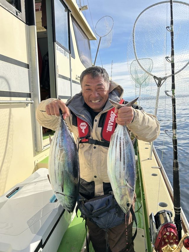 ホンガツオ(カツオ)