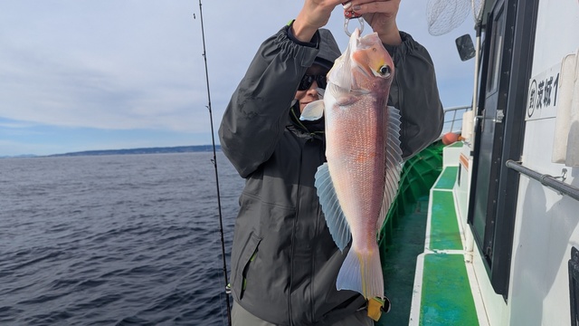 アマダイ(アカアマダイ)