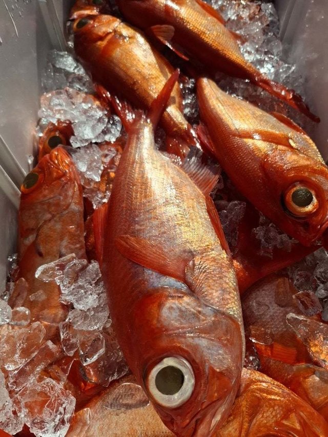 キンメ(キンメダイ)