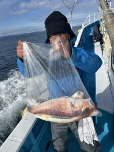 アマダイ(アカアマダイ)