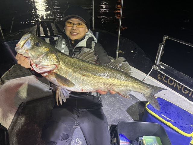 シーバス(スズキ)