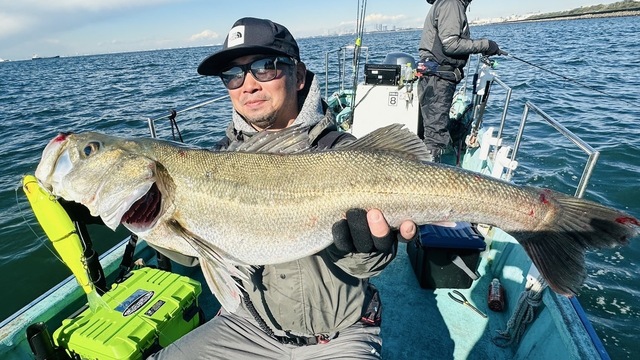 シーバス(スズキ)