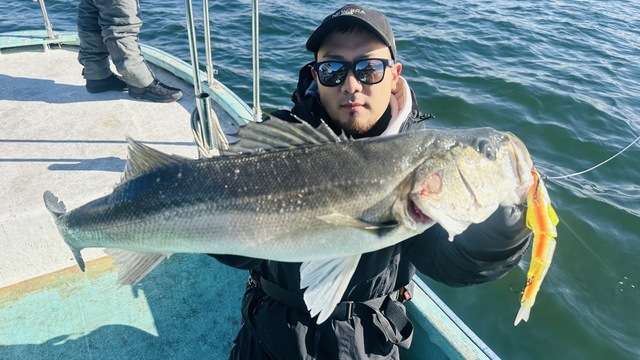 シーバス(スズキ)