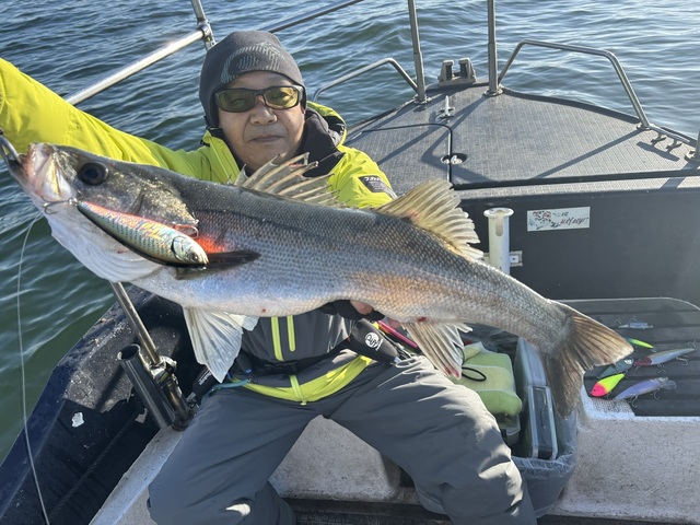 シーバス(スズキ)