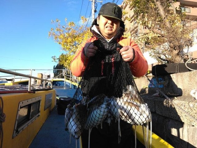 スミイカ(コウイカ)・カミナリイカ