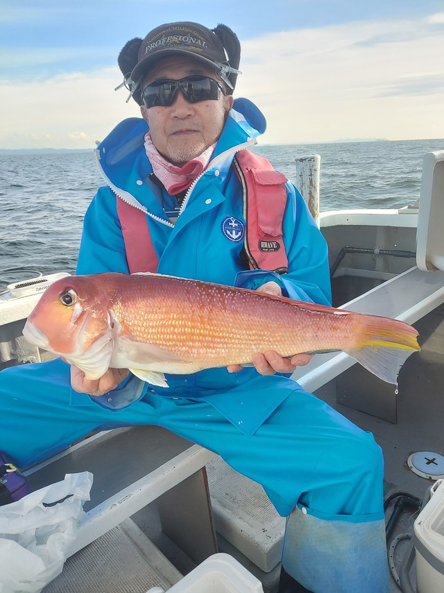 アマダイ(アカアマダイ)