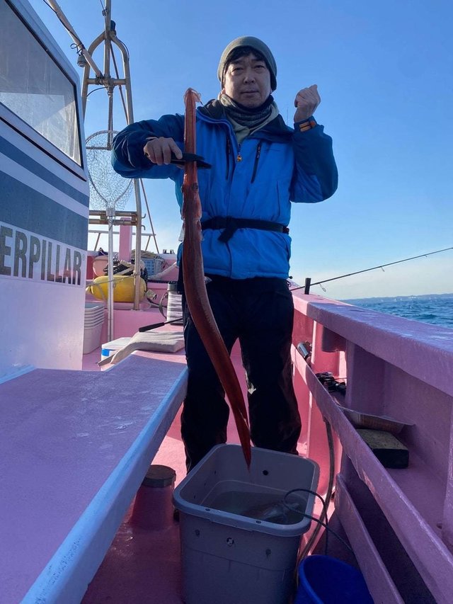 ヤガラ(アカヤガラ)