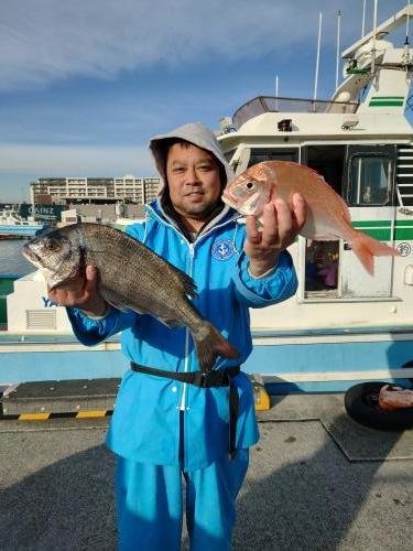 ハナダイ(チダイ)・クロダイ