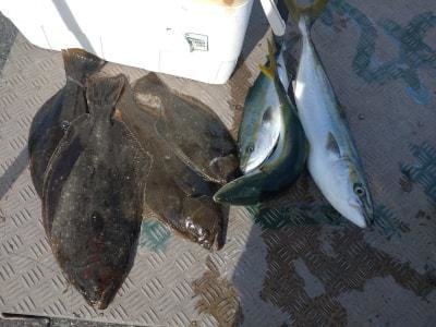 ワラサ(ブリ)・ヒラメ