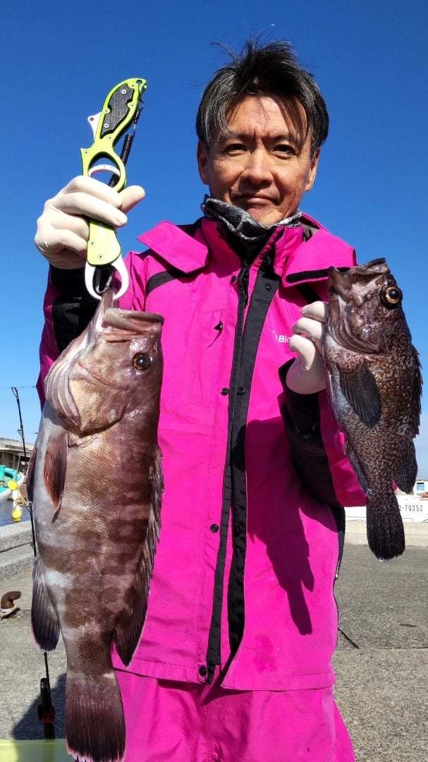 ソイ(クロソイ)・ハタ(マハタ)