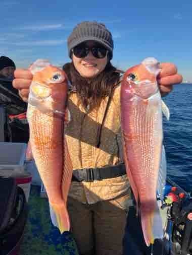 アマダイ(アカアマダイ)