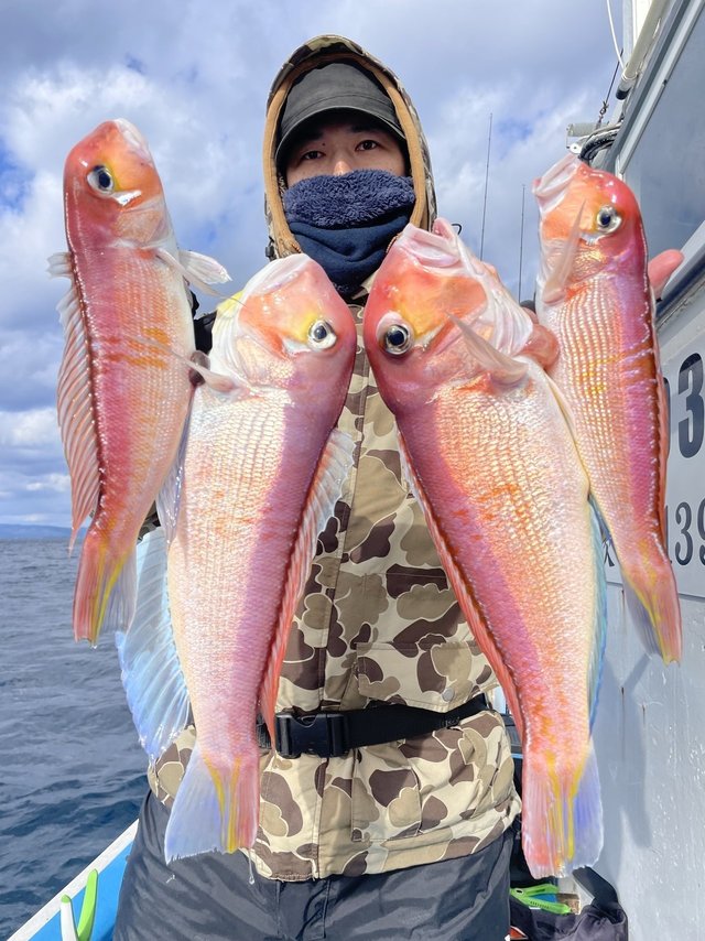 アマダイ(アカアマダイ)