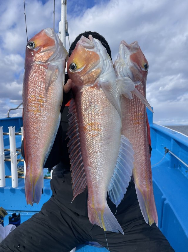 アマダイ(アカアマダイ)