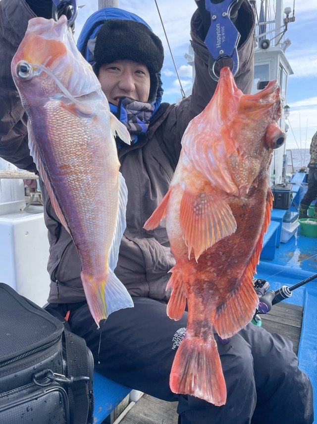 アマダイ(アカアマダイ)・ウッカリカサゴ