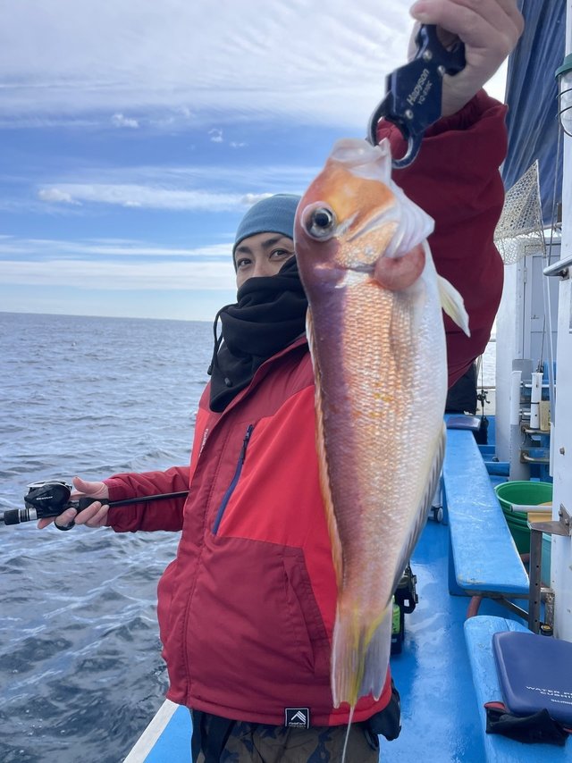 アマダイ(アカアマダイ)