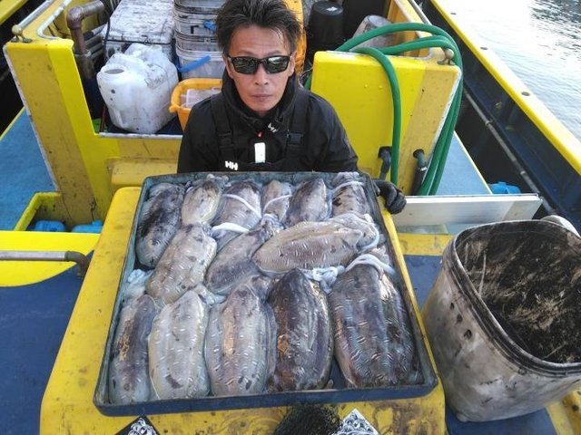 スミイカ(コウイカ)・カミナリイカ