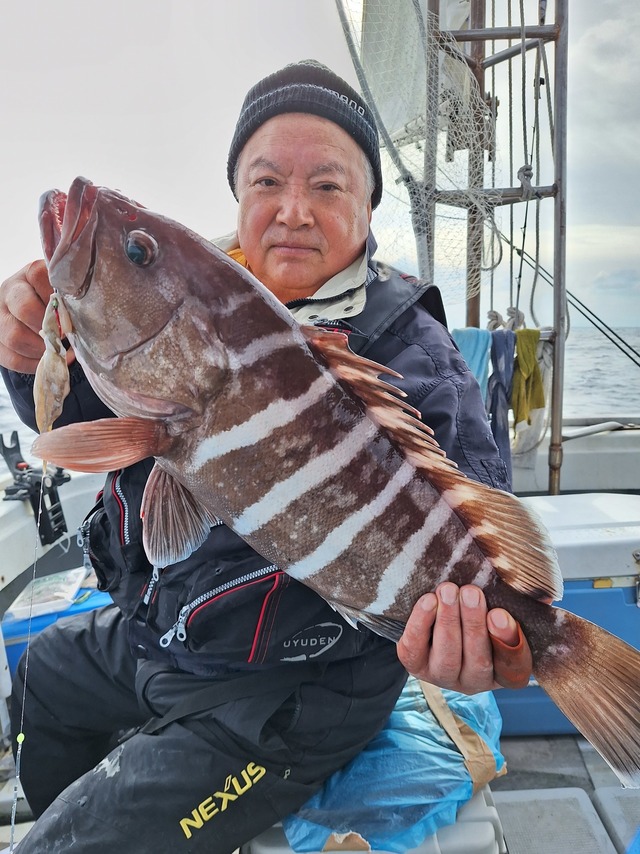 タカバ(マハタ)