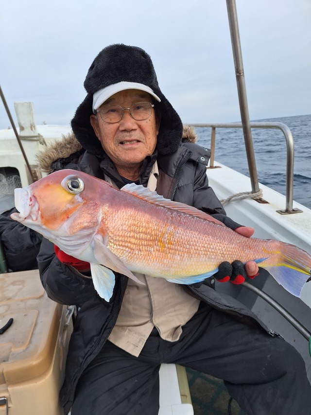 アマダイ(アカアマダイ)