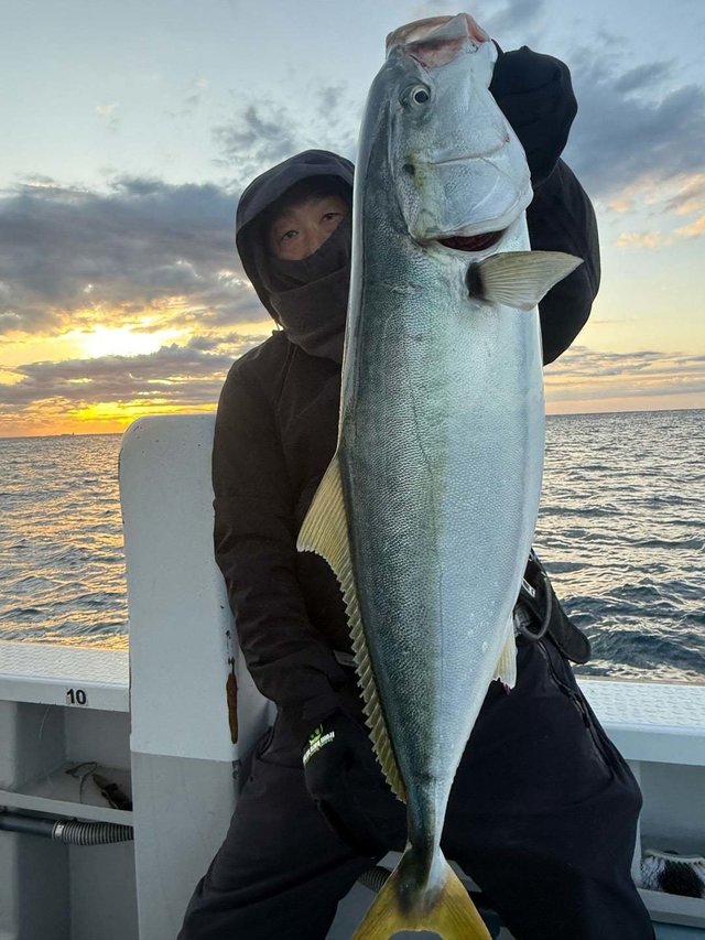 サンパク(ブリ)