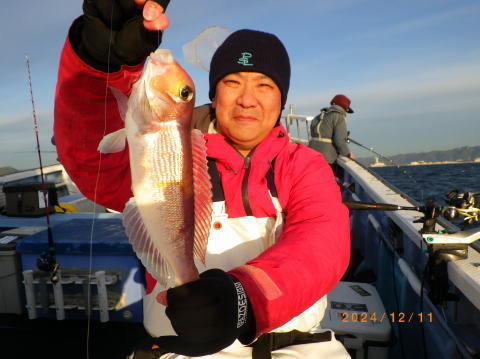 アマダイ(アカアマダイ)