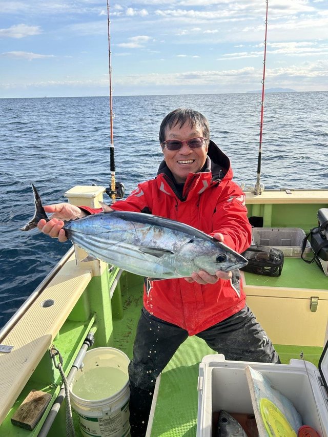 ホンガツオ(カツオ)