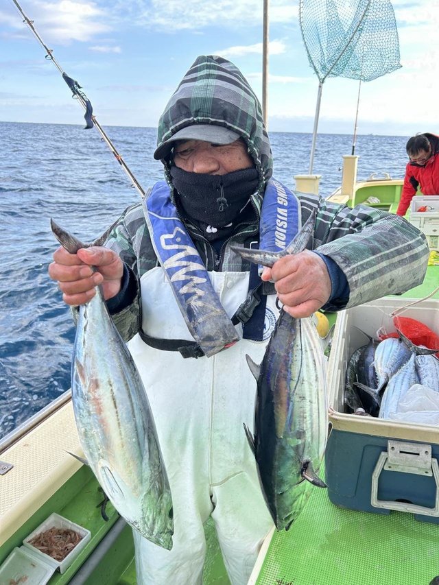 ホンガツオ(カツオ)