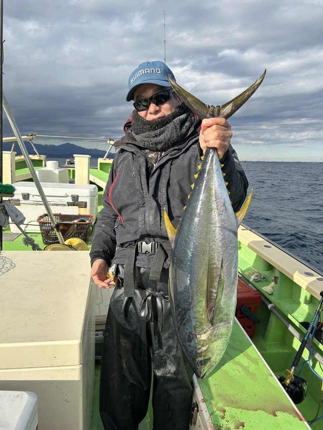 キメジ(キハダ)