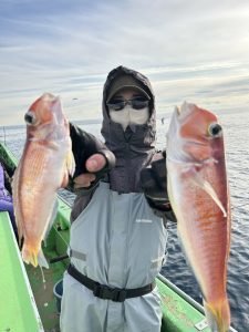 アマダイ(アカアマダイ)