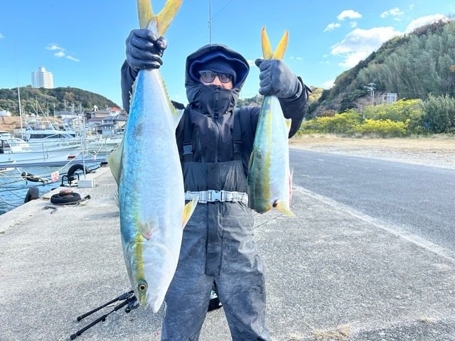 ブリ・ワラサ(ブリ)