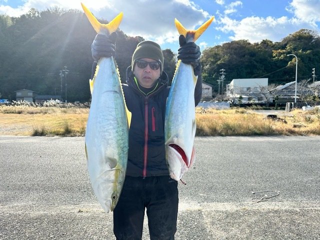 ブリ・ワラサ(ブリ)