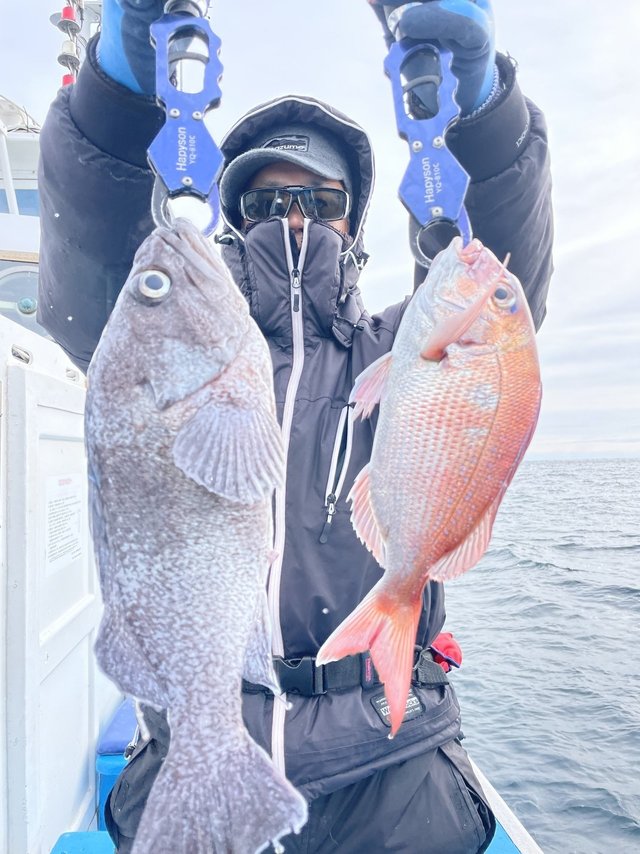 マダイ・マゾイ(キツネメバル)