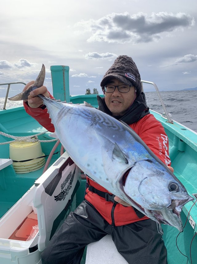 スマガツオ(スマ)