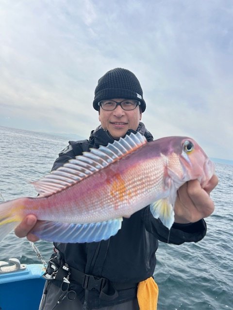 アマダイ(アカアマダイ)