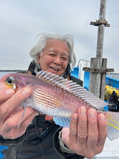 アマダイ(アカアマダイ)