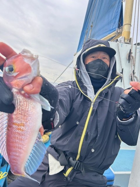 アマダイ(アカアマダイ)