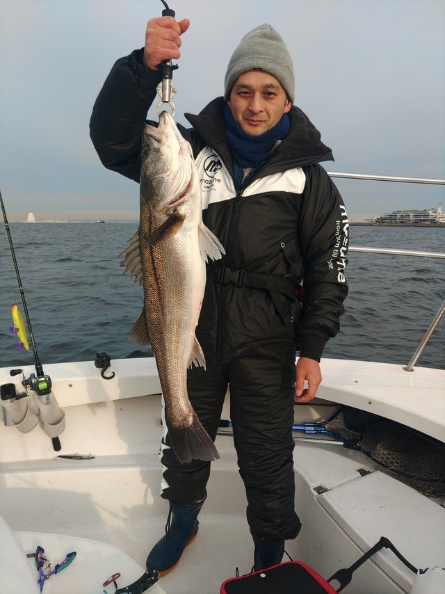 シーバス(スズキ)